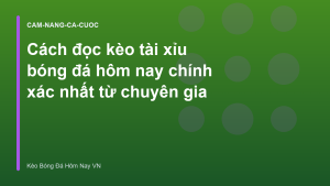 Read more about the article Cách đọc kèo tài xỉu bóng đá hôm nay chính xác nhất từ chuyên gia